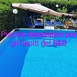 Bed & Breakfast Rosa New 3*