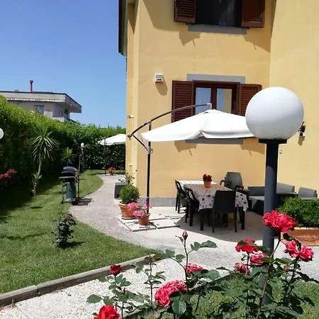 Rosa New SantʼAntonio Abate