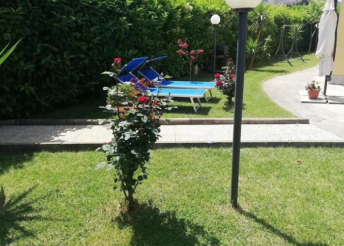 Rosa New Alojamento de Acomodação e Pequeno-almoço 3*